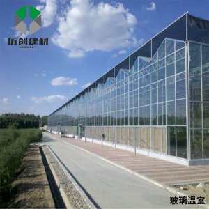 Bayer Manufacturer_Guangzhou Lichuang_Application of PC Hollow Sheet in Greenhouse Development